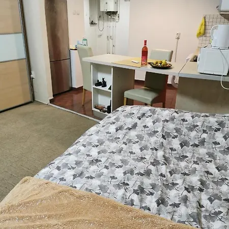 Ultracentral Napoca,balcony,fast Wifi,parking * Cluj-Napoca